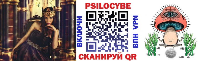 Купить где  Касимов  Псилоцибиновые грибы мицелий 